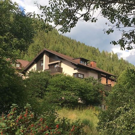 Haus Agnes, Murau Buitenkant foto