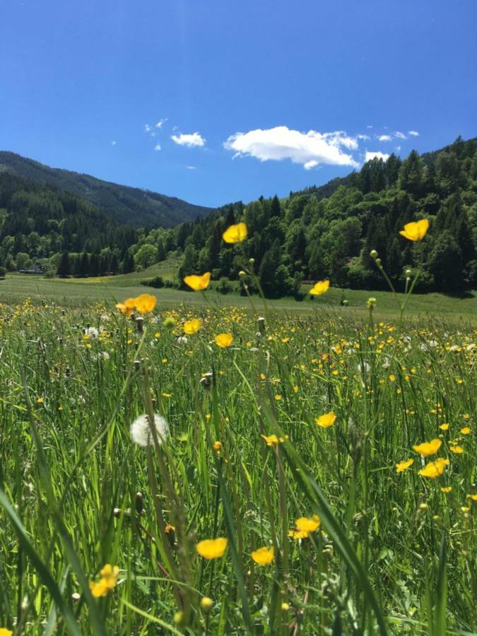 Haus Agnes, Murau Buitenkant foto