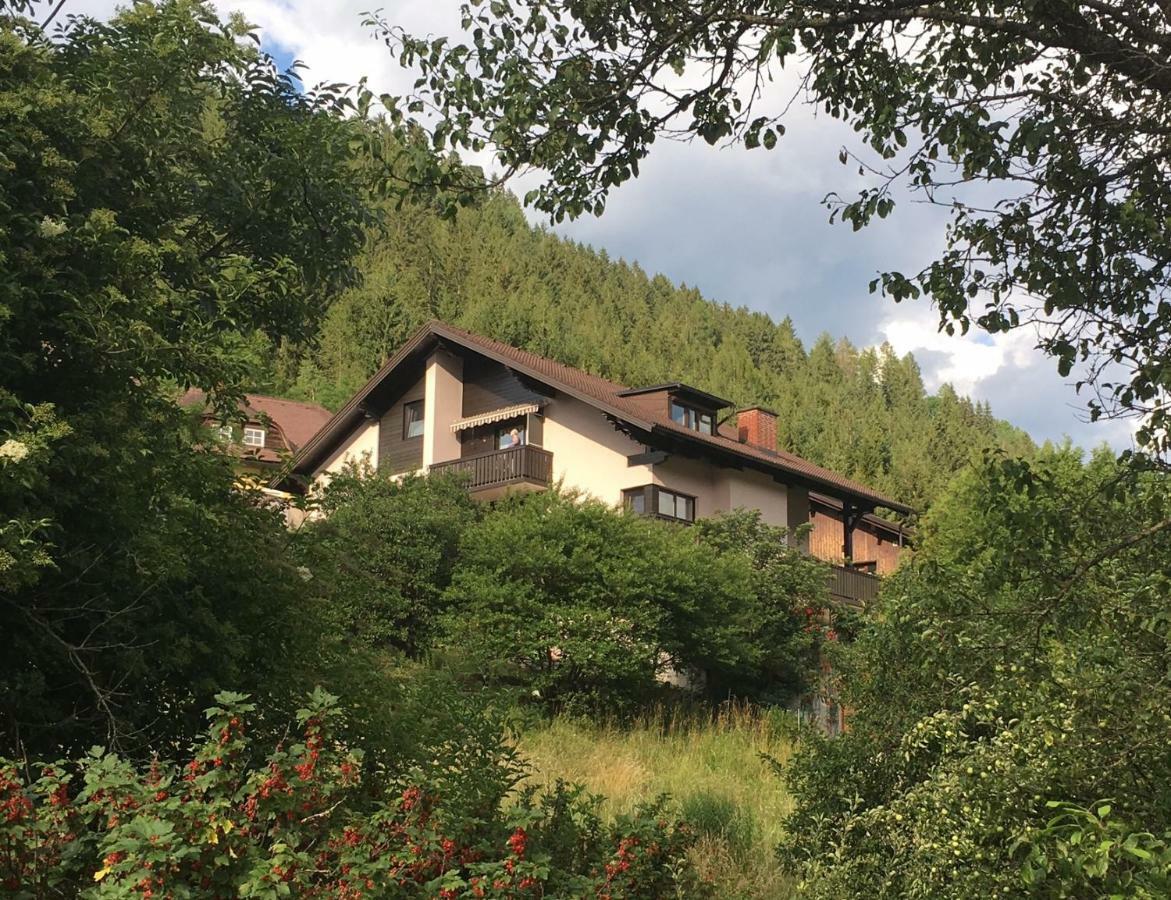 Haus Agnes, Murau Buitenkant foto